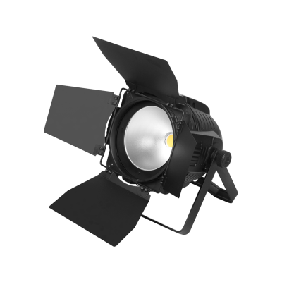 Color Imagination PAR 200 